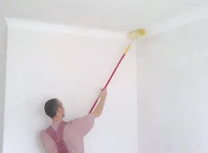 pushonka var compoziție și aplicarea de stingere
