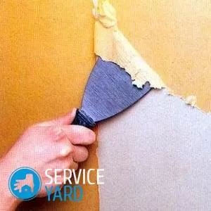 Cum de a elimina rapid tapetul de pe pereți, serviceyard-confortul casei tale în mâinile tale (cât de repede pentru a elimina imaginea de fundal din pereți) Cum de a elimina rapid tapetul de pe pereți, serviceyard-confortul de acasă la îndemână