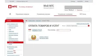 Cum de a afla rapid amenda și să plătească pentru el la o reducere