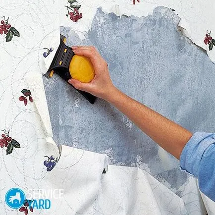 Cum de a elimina rapid tapetul de pe pereți, serviceyard-confortul casei tale în mâinile tale (cât de repede pentru a elimina imaginea de fundal din pereți) Cum de a elimina rapid tapetul de pe pereți, serviceyard-confortul de acasă la îndemână