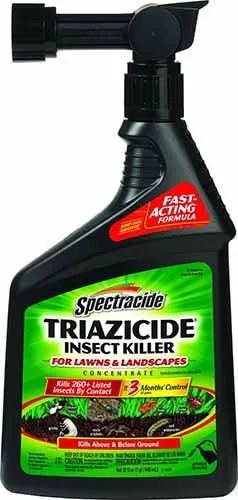 Cum să se ocupe cu Medvedkov, remedii populare și insecticide puternice