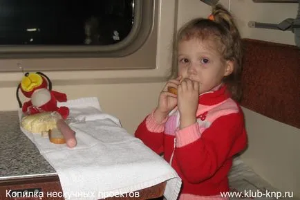 Cum să călătorească cu un copil în tren (pentru a merge) Cum să călătorească cu un copil în tren