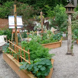 Ce arbori și arbuști pot fi plantate în zonă, cât de frumos flori de plante la locul (este posibil) Ce arbori și arbuști pot fi plantate în zonă, cât de frumos flori de plante la locul