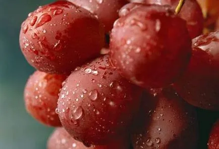 sucuri Ce fructe și legume sunt cele mai utile (sucuri) sucuri Ce fructe și legume sunt cele mai utile