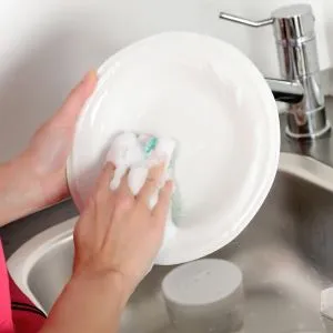 Cum să scapi de fructe zbura un astfel de prejudiciu, cum să scape (rău) Cum să scapi de fructe zbura un astfel de prejudiciu, cum să scape