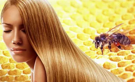 Cum se utilizează tinctura de propolis pentru păr (par) Cum se utilizează tinctura de propolis par