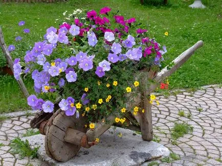 paturi de flori frumoase din țară, cu propriile lor mâini, 100 de idei și fotografii!