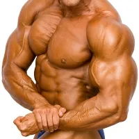 Cum de a construi aripi pentru camera de exercițiu și la domiciliu (cum să pompeze aripile sale push-up-uri în condiții casnice) Cum de a construi aripi pentru sala de gimnastică și la domiciliu