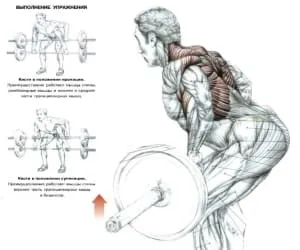 Cum de a construi aripi pentru camera de exercițiu și la domiciliu (cum să pompeze aripile sale push-up-uri în condiții casnice) Cum de a construi aripi pentru sala de gimnastică și la domiciliu