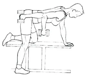 Cum de a construi triceps, cum a pompa, nou-venit