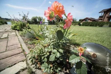 Cum sa faci o casa de vacanta minunata pe locul unei vechi epavă (a face) Cum să înlocuiască vechea epava face o casă de țară uimitoare