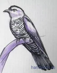 Cum de a desena un cuc și colorat cuc (cuc) Cum de a desena un cuc și un colorant cuc