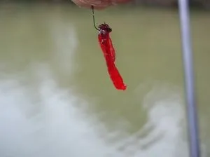 Cum de a planta cârlig