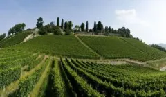 Cum se numește liderul comunității rome