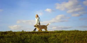 Cum să învețe câinele să meargă alături de animalele adulte câini