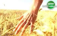 Ce pârghie pentru a alege începător