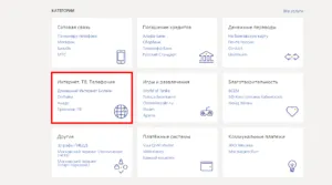 Cum să plătiți prin intermediul instrucțiunilor de plată de serviciu Qiwi-portofel (instrucțiuni) Cum să plătiți prin utilizator de servicii de plată Qiwi-portofel