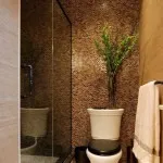 Cum de a decora toaleta cu mâinile (pentru a decora) Cum de a decora toaleta cu propriile lor mâini