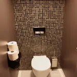 Cum de a decora toaleta cu mâinile (pentru a decora) Cum de a decora toaleta cu propriile lor mâini
