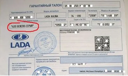 Cum de a determina codul de culoare al mașinii