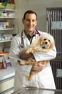 Cum de a deschide un magazin de animale de companie de la zero, este nevoie de unele animale (în funcție de aprovizionare) Cum de a deschide un magazin de animale de companie de la zero, este nevoie de ceea ce animale
