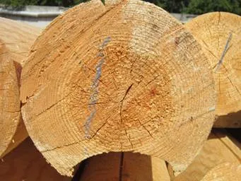 Ceea ce este mai bun cadru în bol sau laba de lemn rotund sau tocat alege