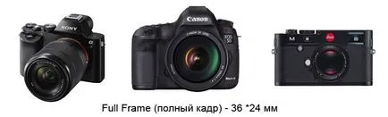 Care este cea mai buna camera (2017)