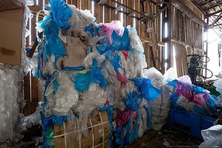Cum de a recicla și de eliminare a deșeurilor, mai proaspăt - cel mai bun din ziua în care ați avea nevoie vreodată!