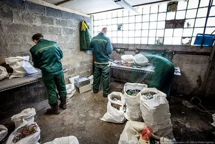 Cum de a recicla și de eliminare a deșeurilor, mai proaspăt - cel mai bun din ziua în care ați avea nevoie vreodată!