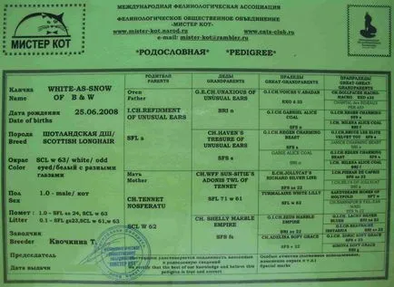 Ce ar trebui să fie un ghid de pedigree reală pentru proprietarii de pisici (porodistost) Ce ar trebui să fie un ghid de pedigree reală pentru proprietarii de pisici