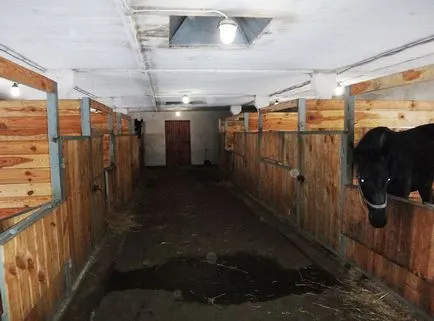 Ce ar trebui să fie și cum să construiască un hambar cu mâinile lor (ar trebui) Ce ar trebui să fie și cum să construiască un hambar cu mâinile lor