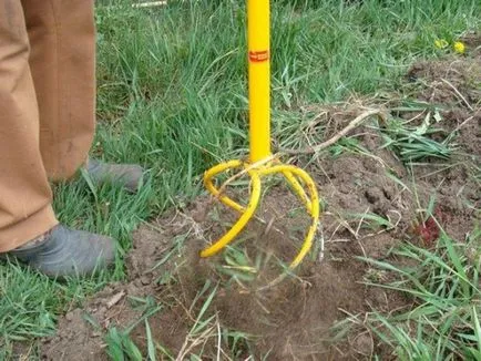 Ce un cultivator este mai bine pentru a da tipuri principale, avantaje și dezavantaje, recenzii (specii) Ce un cultivator este mai bine pentru a da tipuri principale, avantaje și dezavantaje, recenzii