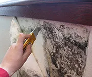 Cum se curata mobila tapitata in casa de murdărie și pete (acasă) Cum se curata mobila tapitata in casa de murdărie și pete