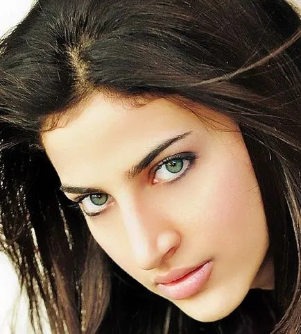 Cum de a alege un blush pentru brunete (fard de obraz) Cum de a alege un blush pentru brunete