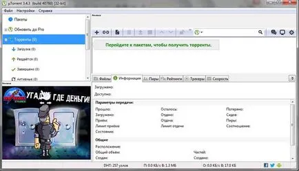 Cum să utilizați torrent
