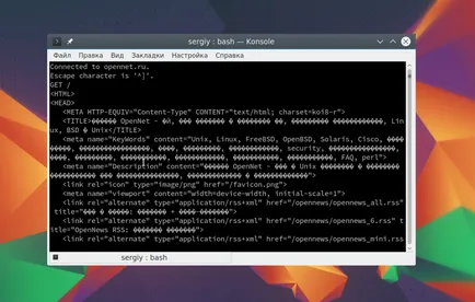Cum să utilizați telnet, losst