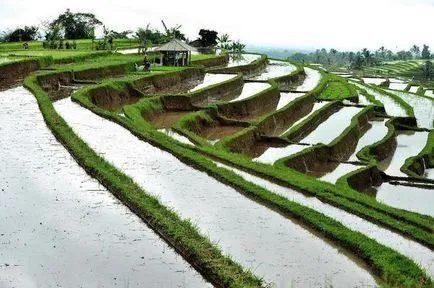Cum de a merge la Bali singur