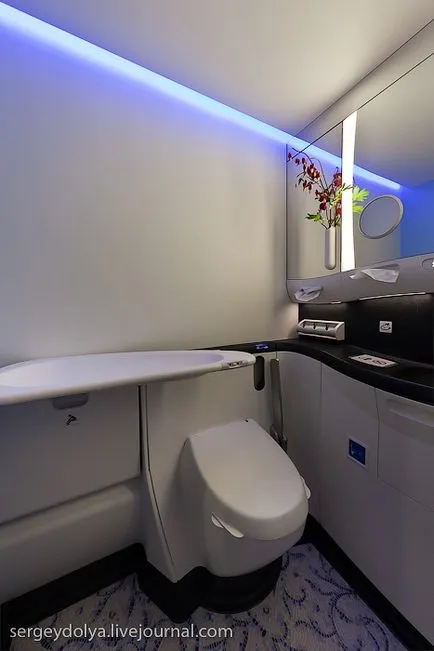 În ceea ce cumpără avioane (37 poze)