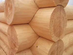Cum de a construi o cabană în picior de jurnalele de formare, a construi reguli, erori (a labei) Cum de a construi o cabană în picior de jurnalele de formare, să construiască reguli, erori
