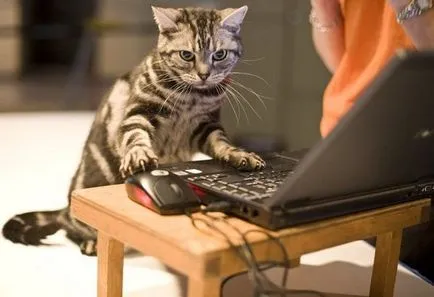 Cum de a scrie comentarii, se clasament pe blog-ul (scris) Cum de a scrie recenzii, blog-ul se ranking