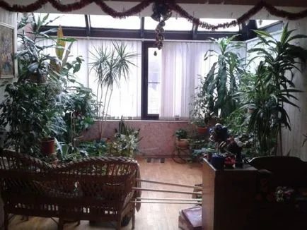 Cum se pulveriza plante de interior - plante (precum spray-houseplants) Cum se pulveriza plante de interior - plante