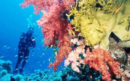 În cazul în care pentru a merge în luna aprilie la mare