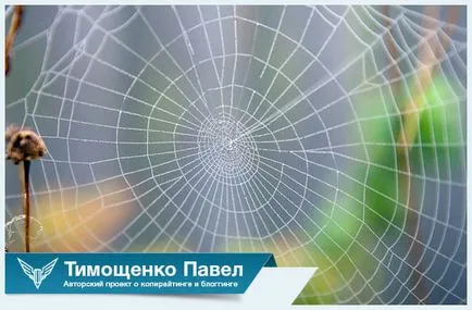 Cine și când a inventat Internetul a crea fapte interesante