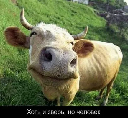 Scurte instrucțiuni despre cum să funcționeze corect vineri)))