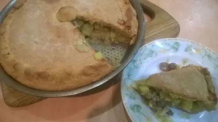 Kurnik cum să gătească de pui și cartofi (cartofi) Kurnik modul de a găti carnea de pui și cartofi