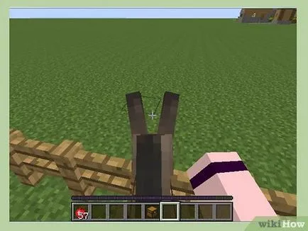 Cum de a instrui calul în PC Minecraft
