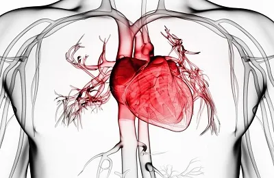 Cum de a verifica vasele de sânge ale inimii diagnosticul bolilor cardiovasculare și examinarea sistemului (diagnosticare) Cum de a verifica vasele de sânge ale inimii diagnosticul bolilor cardiovasculare și a sistemelor de inspecție