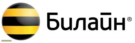 Cum de a verifica soldul celeilalte părți Beeline (altele) Cum de a verifica soldul celeilalte părți Beeline