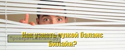 Cum de a verifica soldul altor abonați Beeline (instrumentul este cel mai mult) Cum de a verifica soldul celeilalte părți Beeline