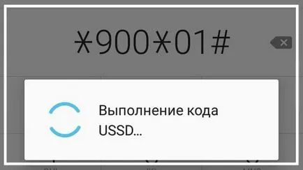 Cum de a verifica soldul Banca de Economii a hărții (a afla soldul cardului) Cum de a verifica soldul pe hartă Banca de Economii